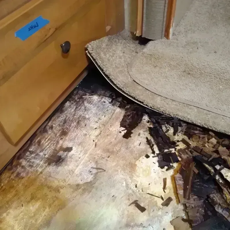 Wood Floor Water Damage in Queens, NY